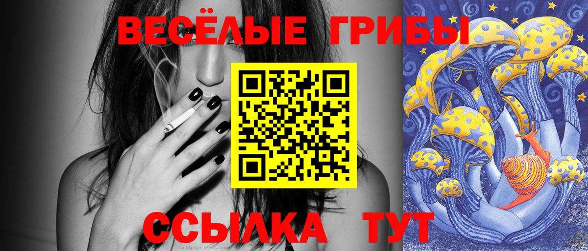 Псилоцибиновые грибы MAGIC MUSHROOMS  Галлюциногенные грибы GOLDEN TEACHER  Новошахтинск  Вход с VPN 